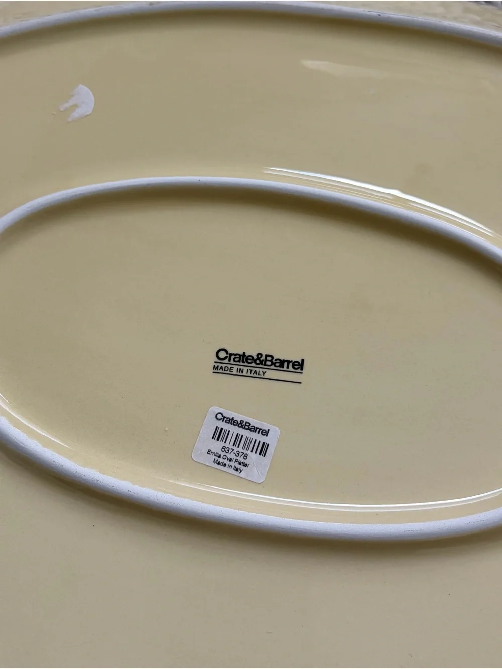Crate & Barrel Emilia Hand-Painted Large Oval Serving Platter Made in Italy NEW